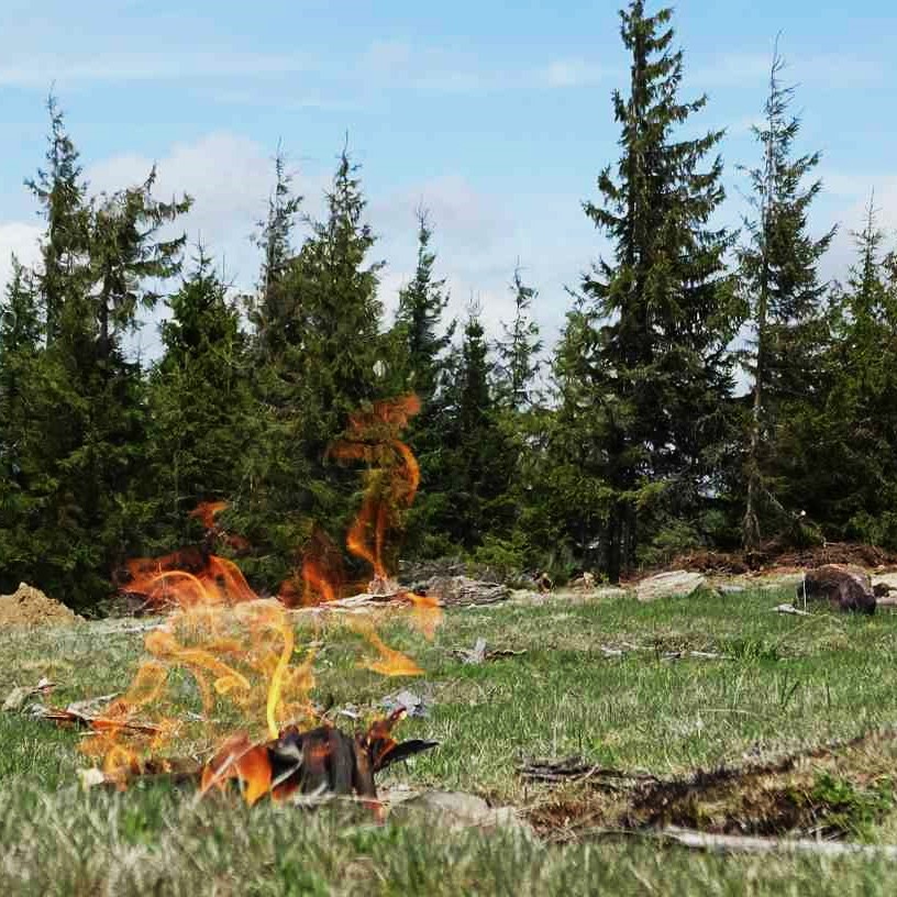 Fire Mitigation Services in Arvada 6