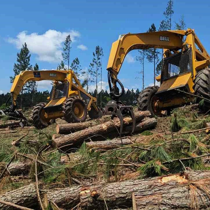 Tree Removal Services in Arvada 5